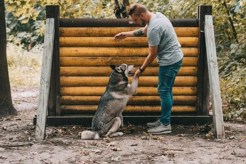 U kojoj dobi se uspostavlja privrženost? U kojoj dobi se uspostavlja privrženost?