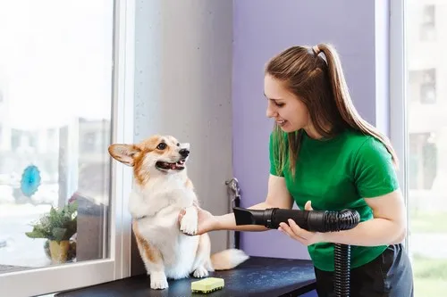 6. mesto — Grinder Happy Tail
