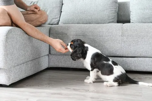 Da li je moguće preventivno lečenje?