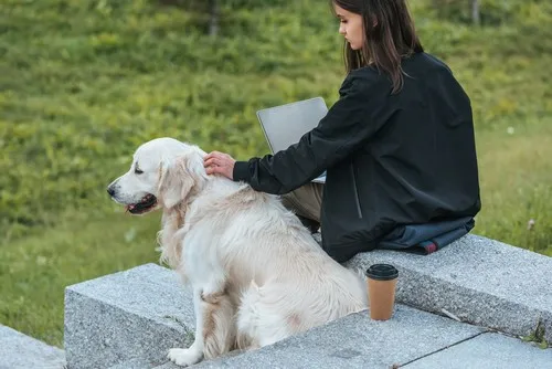 Nosework za pse – šta je to?