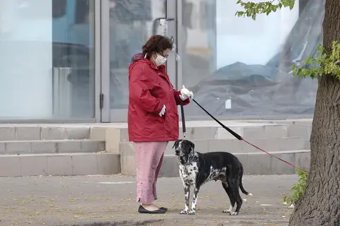 WSAVA smernice i hrana za pse: šta znače i kako da izaberete