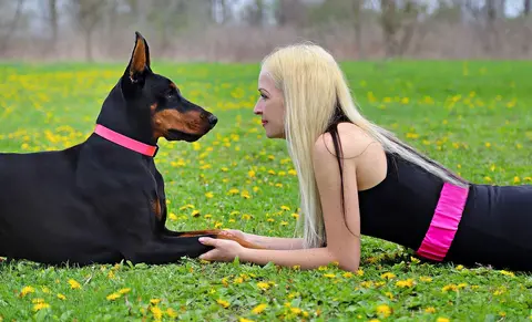 Kako odabrati ime za ženku psa