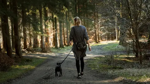 Kad mladi udomljeni pas reaguje na prilaske: kako da mu pomognete tokom pauze u šetnji