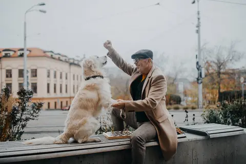 Pas iz filma „Beli Bim Crno uvo”: engleski seter
