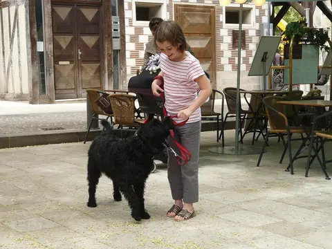 Pas je prvih dana bio miran s decom, a sada reži: šta se možda dešava?